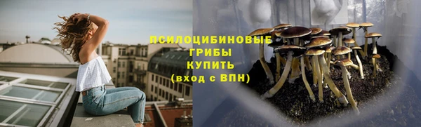 ГАЛЛЮЦИНОГЕННЫЕ ГРИБЫ Белоозёрский