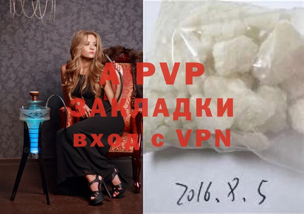 ГАЛЛЮЦИНОГЕННЫЕ ГРИБЫ Белоозёрский