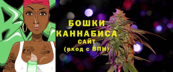 ГАЛЛЮЦИНОГЕННЫЕ ГРИБЫ Белоозёрский