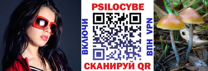 Галлюциногенные грибы Psilocybine cubensis  Воркута 